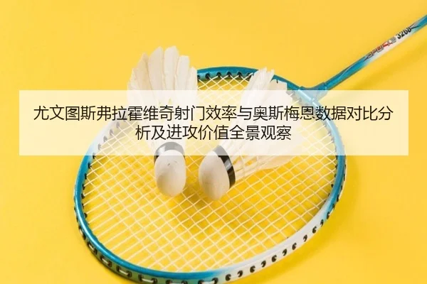 尤文图斯弗拉霍维奇射门效率与奥斯梅恩数据对比分析及进攻价值全景观察